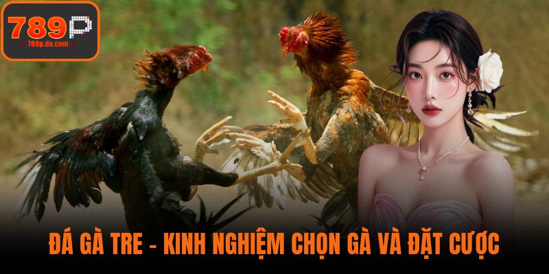 Đá Gà Tre - Kinh Nghiệm Chọn Gà Và Đặt Cược Thông Minh